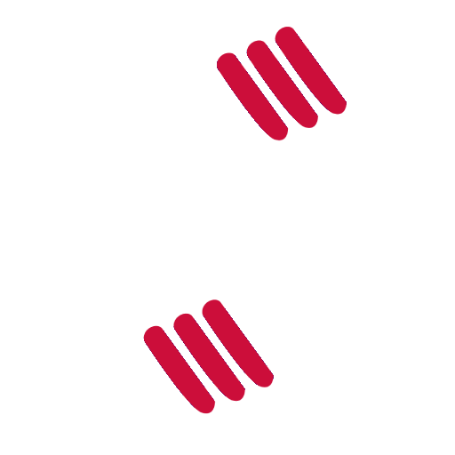 Steel Strapping Tools